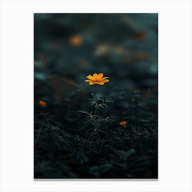 Single Flower In The Dark 72 Canvas Print