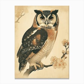 African Wood Owl Vintage Illustration 2 Canvas Print