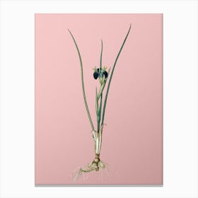 Vintage Snake's Head Botanical on Soft Pink n.0012 Canvas Print