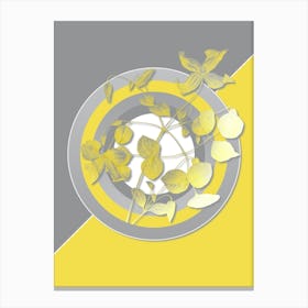 Vintage Virgin's Bower Botanical Geometric Art in Yellow and Gray n.325 Canvas Print