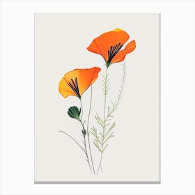 California Poppy Spices And Herbs Minimal Line Drawing 3 Canvas Print