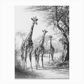 Herd Of Giraffe By The Tree 1 Canvas Print
