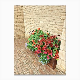 Flower Box Canvas Print