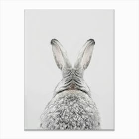 Hares Canvas Print