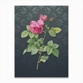 Vintage Pink Bourbon Roses Botanical on Slate Gray Pattern Canvas Print