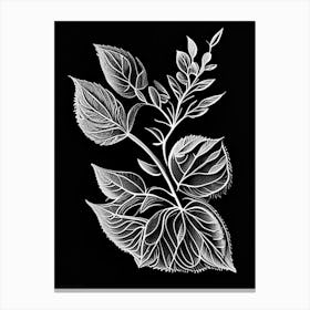 Oregano Leaf Linocut 5 Canvas Print