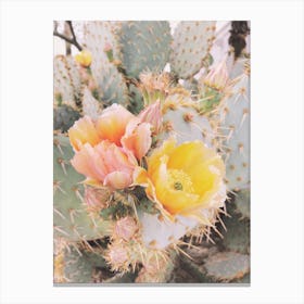 Prickly Pear Flowers Ii Canvas Print