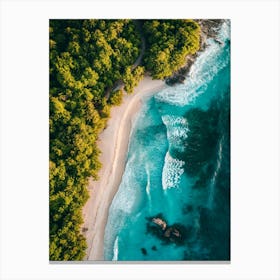 Aerial View Of A Tropical Beach 3 Canvas Print