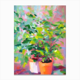 Swiss Cheese Plant Impressionist Painting Plant Canvas Print