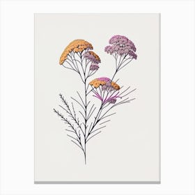 Yarrow Floral Minimal Line Drawing 4 Flower Canvas Print