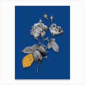 Vintage Anemone Centuries Rose Black and White Gold Leaf Floral Art on Midnight Blue n.0993 Canvas Print