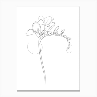 Freesia Flowers Canvas Print