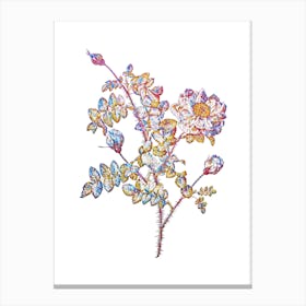 Stained Glass White Burnet Roses Mosaic Botanical Illustration on White n.0143 Canvas Print