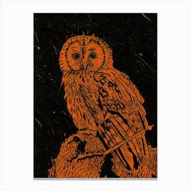Burning Bright Owl Std Canvas Print