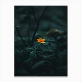 Yellow Flower In The Dark 9 Canvas Print