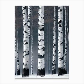 Birch Trees In Winter Canvas Print