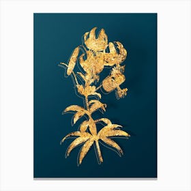 Vintage Turban Lily Botanical in Gold on Teal Blue n.0285 Canvas Print
