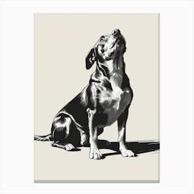 Dog Looking Up Canvas Print