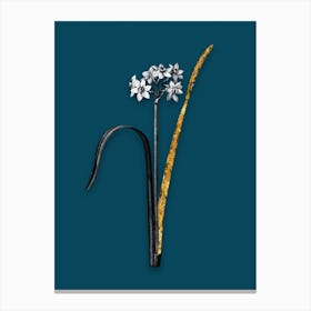 Vintage Cowslip Cupped Daffodil Black and White Gold Leaf Floral Art on Teal Blue n.0460 Canvas Print