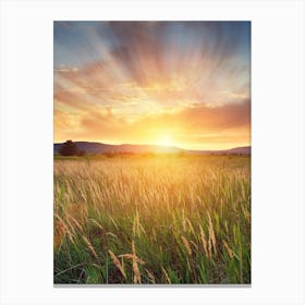 Sunset Over A Field 1 Canvas Print