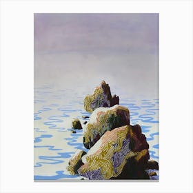 'Rocks In The Water' Canvas Print