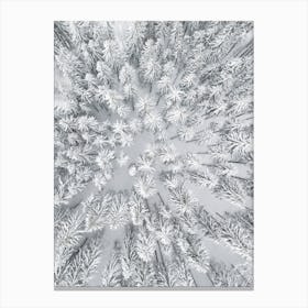 Snowy Forests Canvas Print