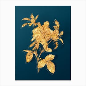 Vintage Vintage Cabbage Rose Botanical in Gold on Teal Blue n.0292 Canvas Print