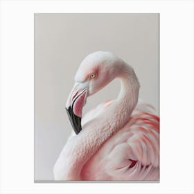 Pink Flamingo 1 Canvas Print