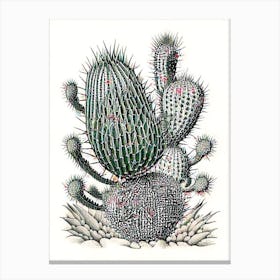 Stenocactus Cactus William Morris Inspired 2 Canvas Print