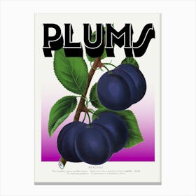 Plums Purple Graphic Wall Art Vintage Unique Eclectic Canvas Print