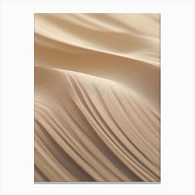 Sand Dune 3 Canvas Print