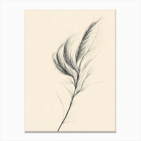 Feathers Canvas Print