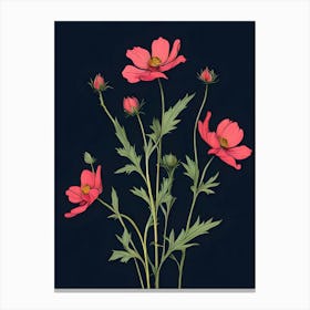 Pink Cosmos 2 Canvas Print