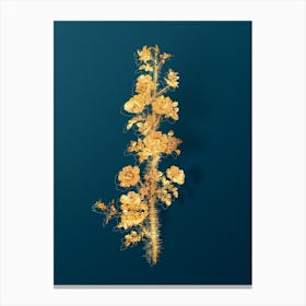 Vintage Scotch Rose Bloom Botanical in Gold on Teal Blue n.0250 Canvas Print