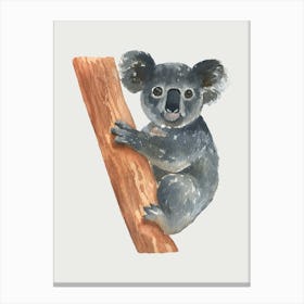 Koala Canvas Print