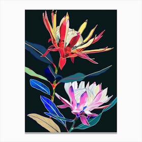 Neon Flowers On Black Protea 1 Canvas Print