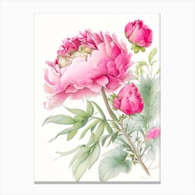 Peony Floral Quentin Blake Inspired Illustration 5 Flower Canvas Print