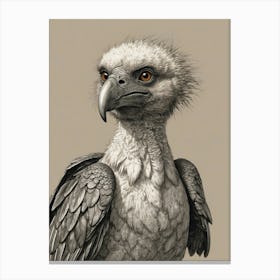 Vulture 2 Canvas Print