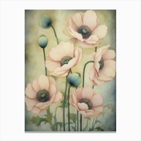 Poppies 38 Canvas Print