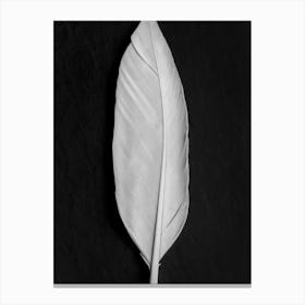 Feather Black and White_2191105 Canvas Print