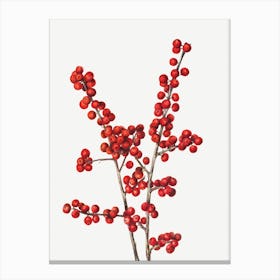 Red Berries Canvas Print