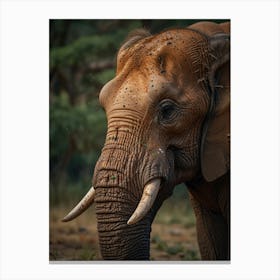 Elephant Tusks Canvas Print