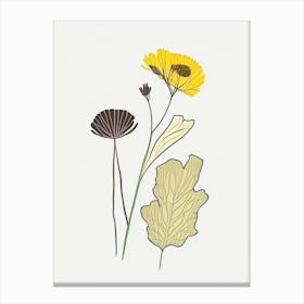 Coltsfoot Spices And Herbs Minimal Line Drawing 1 Canvas Print