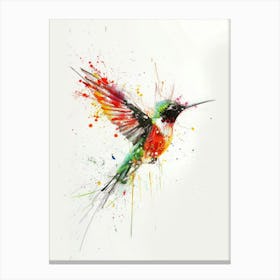 Hummingbird Canvas Print 4 Canvas Print