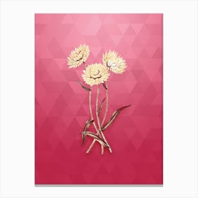 Vintage Helichrysum Flower Botanical in Gold on Viva Magenta n.0854 Canvas Print