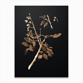 Gold Botanical Pistachio on Wrought Iron Black Canvas Print