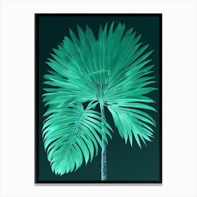 Green Mexican Fan Palm Fronds Art Print Canvas Print