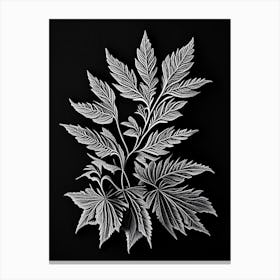 Calamint Leaf Linocut 2 Canvas Print