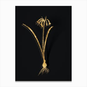 Vintage Brandlelie Botanical in Gold on Black n.0453 Canvas Print