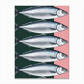 Sardines 3 Canvas Print